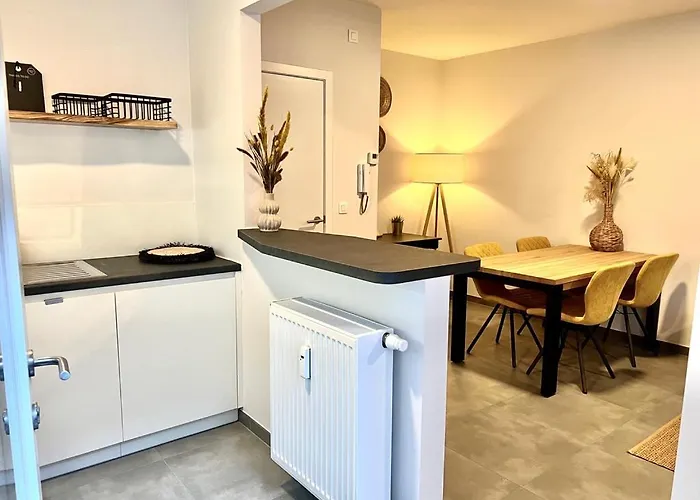 Moyo オステンド